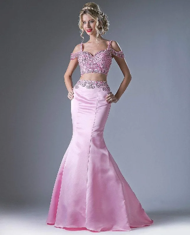 Women's Elegant Garments Cinderella Divine Draped Sleeve Two-Piece Ornate Mermaid Gown P209 - 1 pc Pink In Size 2 Available